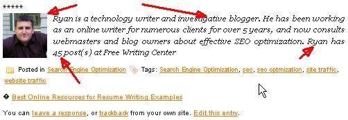add-automatic-footer-wordpress-posts-4.jpg