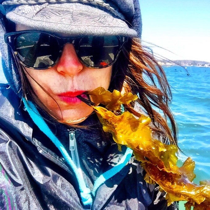 akua lands $3.2m to turn kelp into burgers
