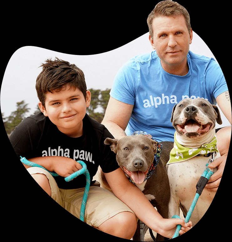 alpha paw brings in $8m to carve out its niche in the pet wellness space