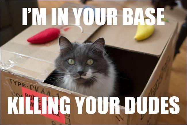 ask-htg-whats-the-font-meme-pictures-use-and-how-can-i-make-them-4.jpg