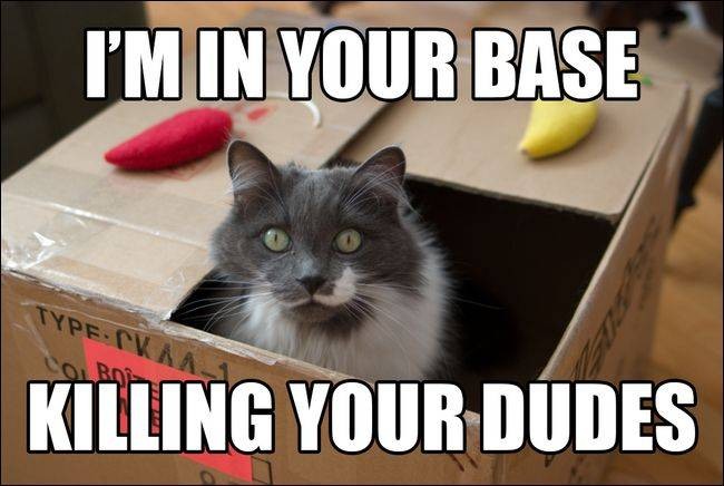 ask-htg-whats-the-font-meme-pictures-use-and-how-can-i-make-them-7.jpg