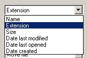 automate-files-folders-management-belvedere-windows-3.jpg