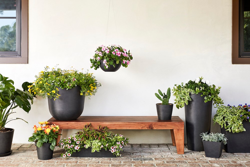 bloomscape’s justin mast explains how he built a thriving garden startup in detroit