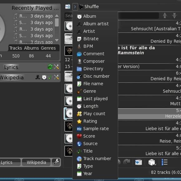 control-music-amarok-linux-3.jpg
