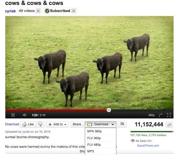 convert-youtube-clips-gif-animations-free-online-1.jpg