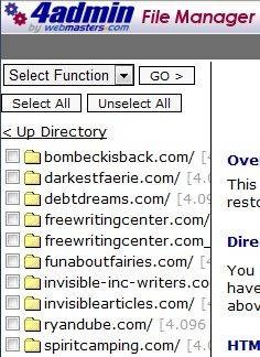 create-easy-income-offering-affordable-web-site-hosting-services-6.jpg