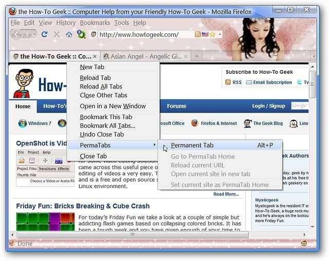 create-permanent-tabs-in-firefox-with-permatabs-mod-4.jpg