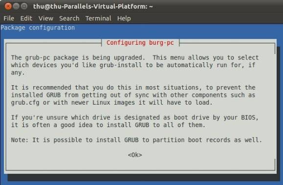 customize-grub-boot-loader-burg-ubuntu-7.jpg