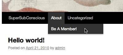 customizing-twentyten-theme-wordpress-30-blog-9.jpg