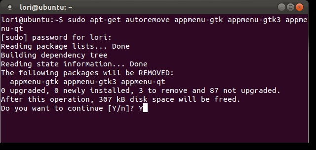 disable-the-global-menu-appmenu-in-ubuntu-11.04-and-11.10-2.jpg