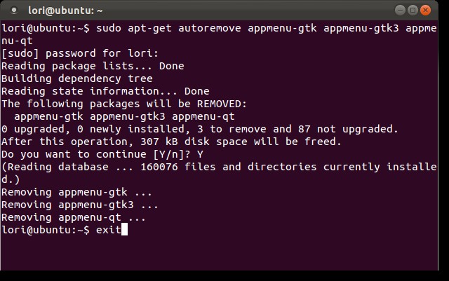 disable-the-global-menu-appmenu-in-ubuntu-11.04-and-11.10-3.jpg