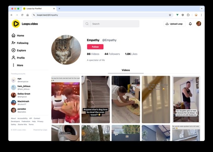 ditching meta? open source alternatives to instagram, tiktok, and whatsapp fundraise on kickstarter