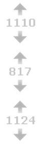 download-best-of-the-web-delivered-the-reddit-manual-2.jpg