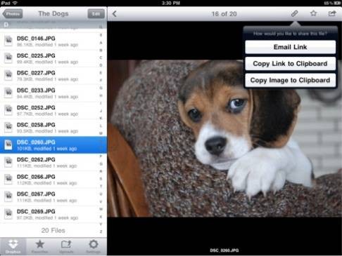 download-five-star-guide-for-your-ipad-44.jpg