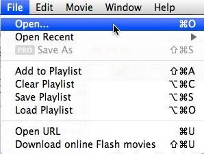 download-play-flash-files-swf-flv-player-1.jpg