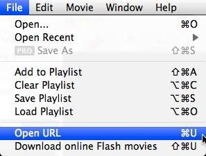 download-play-flash-files-swf-flv-player-5.jpg