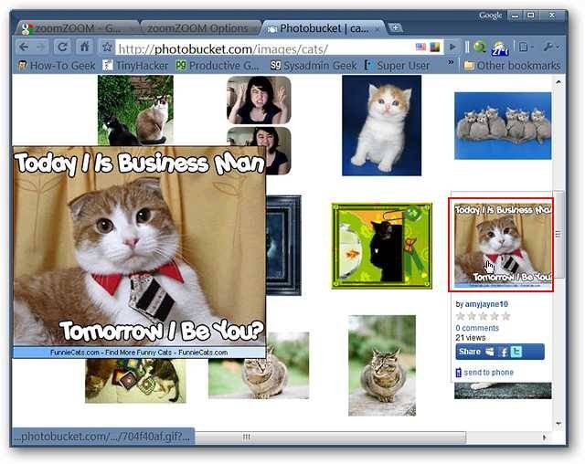 enjoy-image-zooming-on-your-favorite-photo-websites-in-chrome-1.jpg