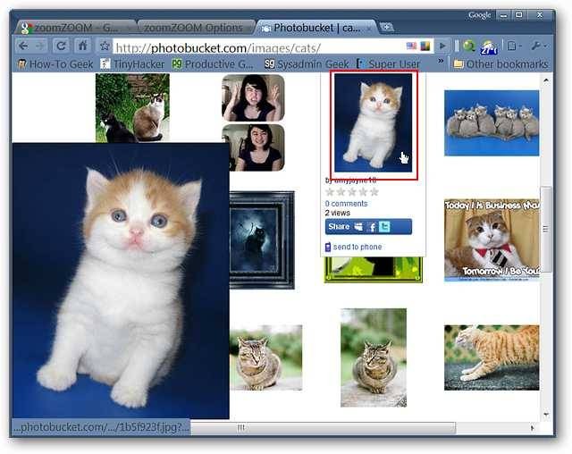 enjoy-image-zooming-on-your-favorite-photo-websites-in-chrome-2.jpg