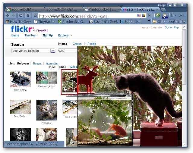 enjoy-image-zooming-on-your-favorite-photo-websites-in-chrome-3.jpg