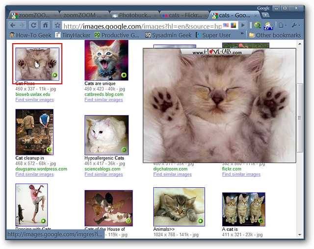enjoy-image-zooming-on-your-favorite-photo-websites-in-chrome-5.jpg