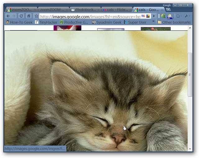 enjoy-image-zooming-on-your-favorite-photo-websites-in-chrome-6.jpg