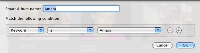 essential-smart-albums-iphoto-library-8.jpg