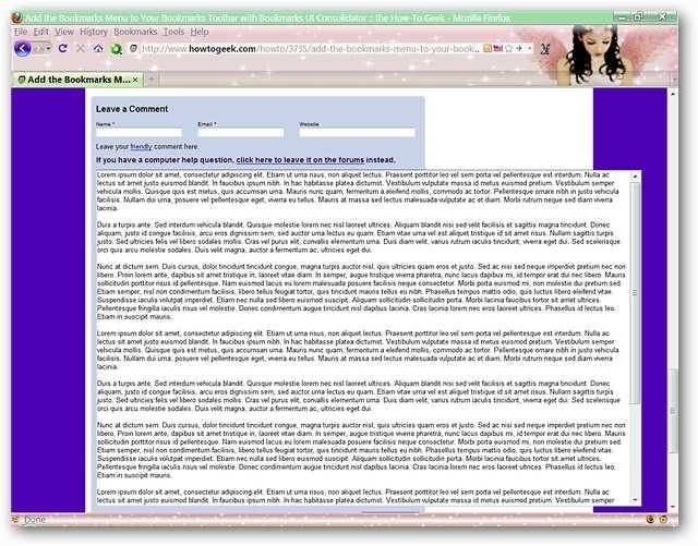 expand-text-areas-in-web-forms-in-firefox-3.jpg