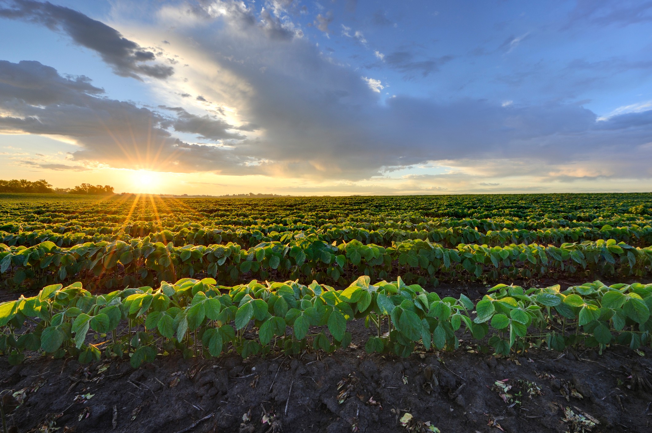 extra crunch roundup: china’s new data privacy law, fractional farming, debt vs. equity