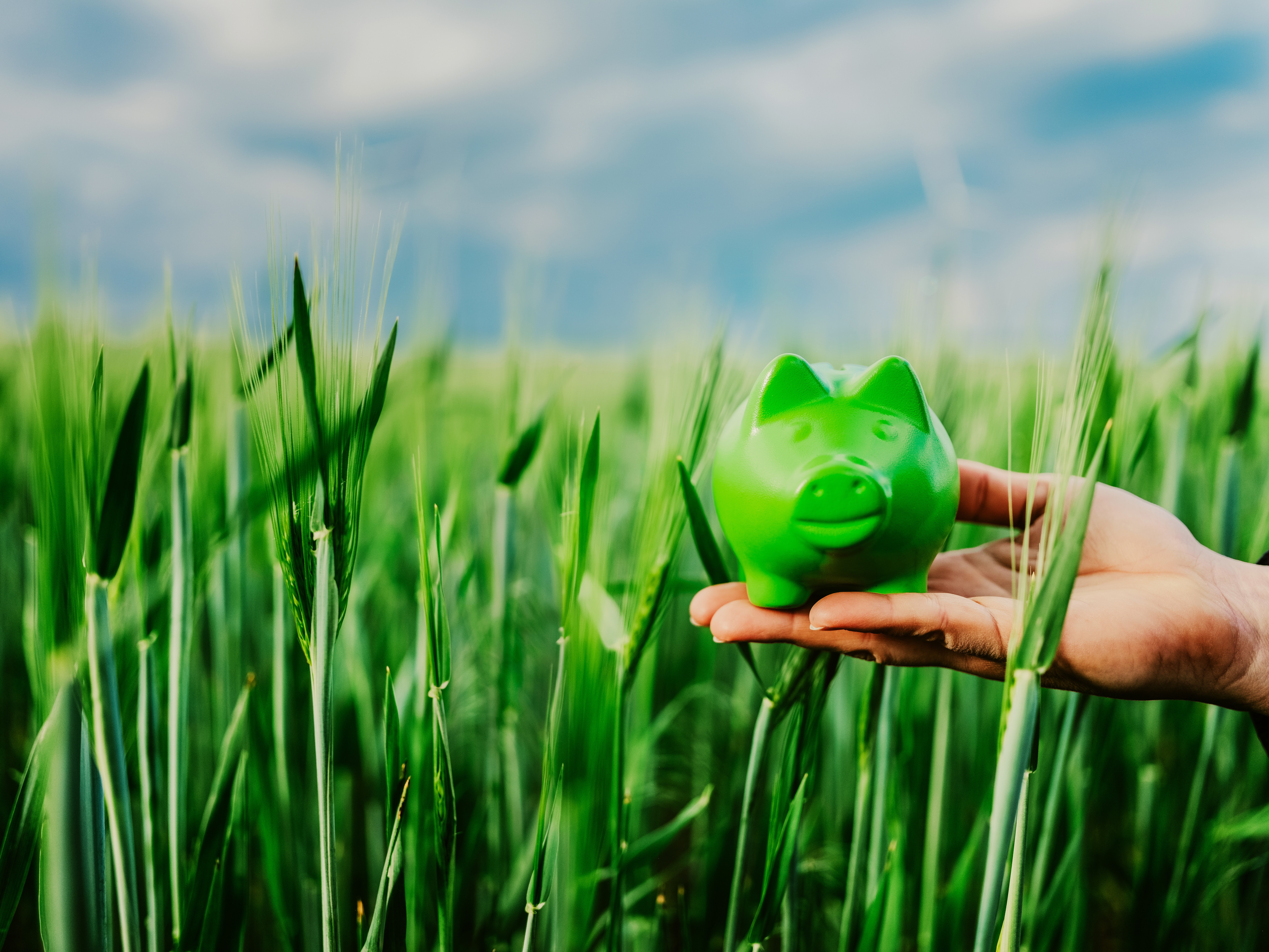 extra crunch roundup: fintech stays hot, brex doubles, and startup irr is up all over