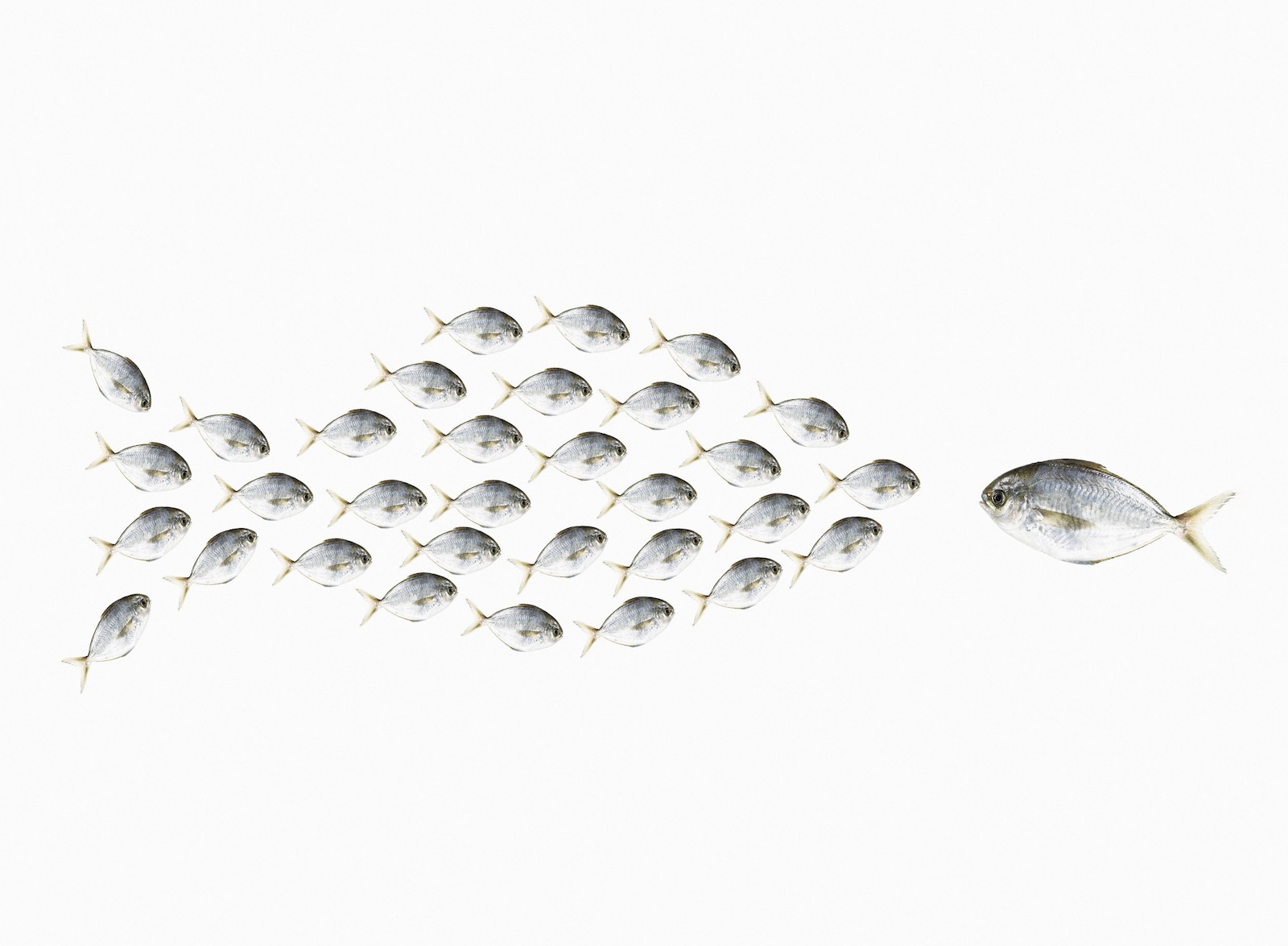extra crunch roundup: influencer marketing 101, spotting future unicorns, apple airtags teardown