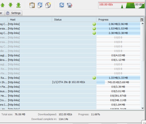 extract-links-mass-image-file-downloads-jdownloader-8.jpg