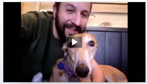 facebook-introduces-video-calls-skype-news-2.jpg