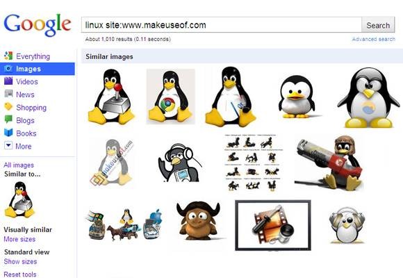 find-similar-images-googles-image-search-3.jpg