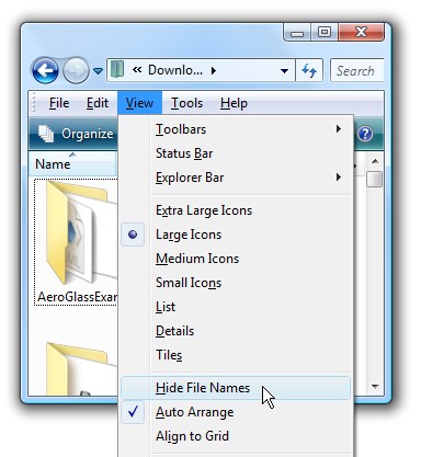 fix-for-when-windows-explorer-in-vista-stops-showing-file-names-3.jpg