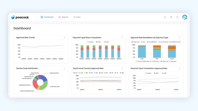 founded by ex-braintree and paypal execs, pagos raises $10m to offer api-driven payment intelligence