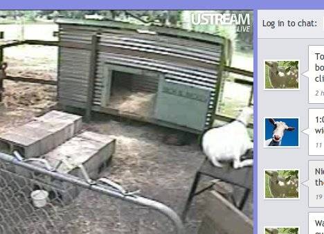 free-webcams-watch-bored-3.jpg