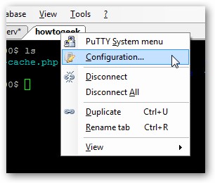 get-tabs-for-your-putty-3.jpg