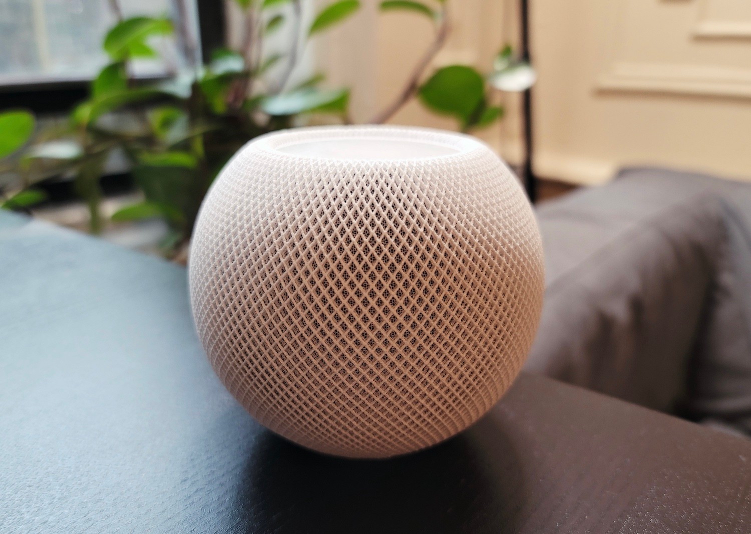gift guide: the smart home starter kit