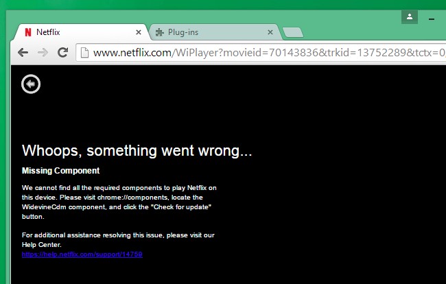 google-chrome-includes-5-browser-plug-ins-and-heres-what-they-do-1.jpg