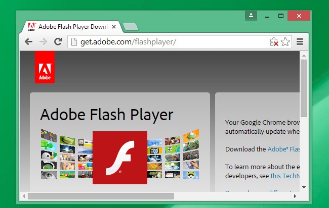 google-chrome-includes-5-browser-plug-ins-and-heres-what-they-do-3.jpg