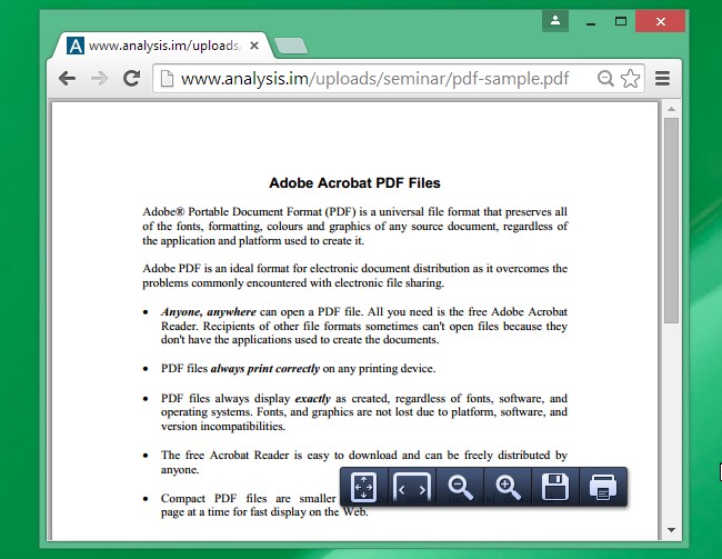 google-chrome-includes-5-browser-plug-ins-and-heres-what-they-do-5.jpg