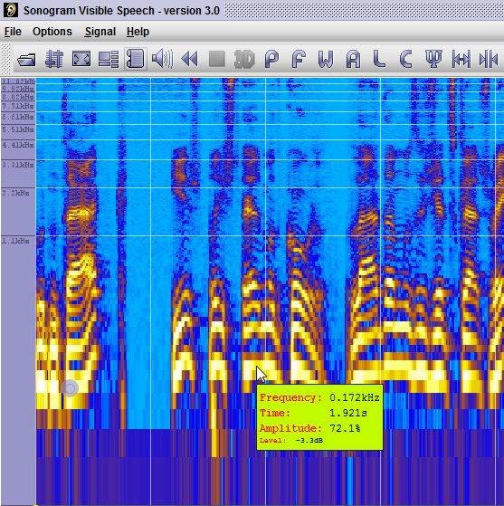 hand-voice-recognition-sonogram-visible-voice-tool-4.jpg