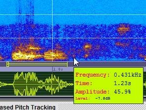 hand-voice-recognition-sonogram-visible-voice-tool-6.jpg