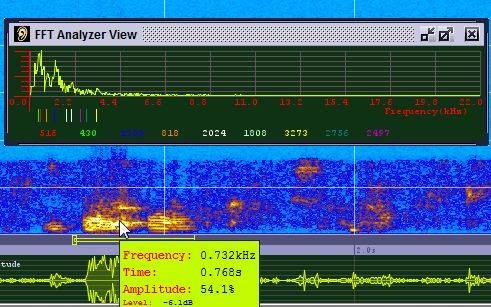 hand-voice-recognition-sonogram-visible-voice-tool-9.jpg