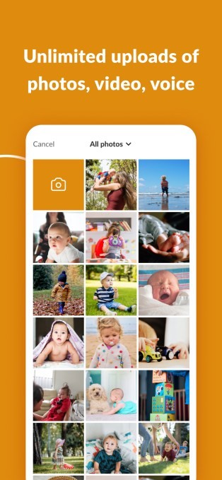 honeycomb, a private social app for families, raises $4m seed round