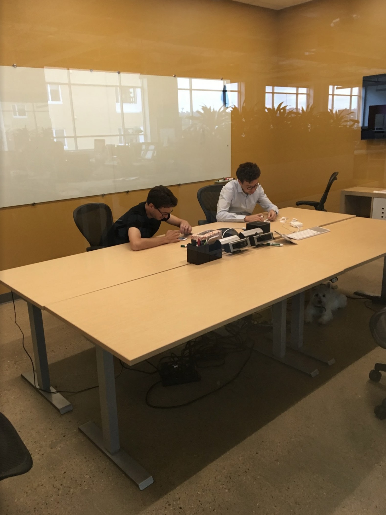 how a bot-fighting test turned into edtech’s most iconic brand, duolingo