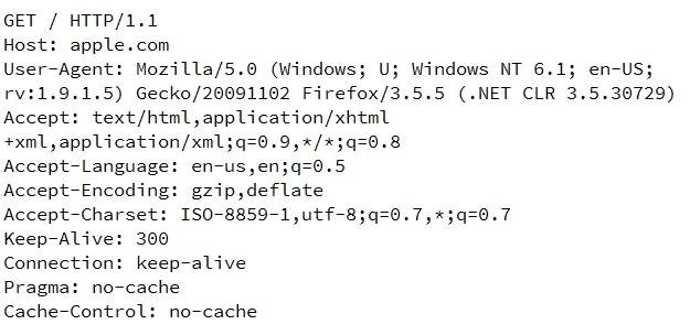 how-do-web-servers-know-if-you-are-using-direct-ip-address-access-or-not-1.jpg