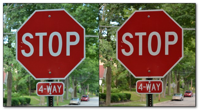 how-to-achieve-perfect-photo-color-with-a-white-balance-cap-4.jpg