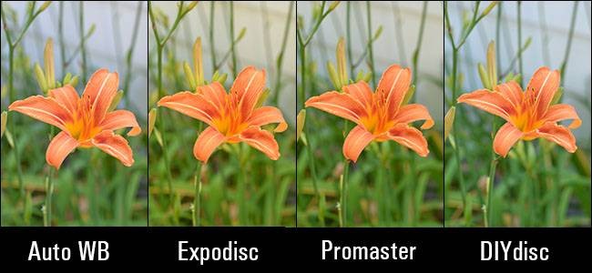 how-to-achieve-perfect-photo-color-with-a-white-balance-cap-6.jpg