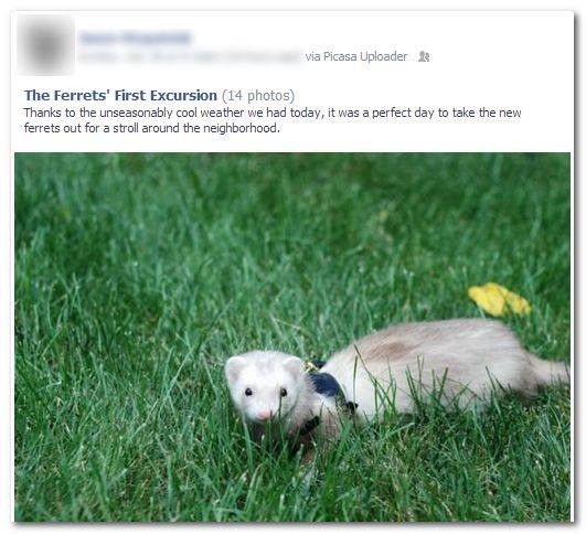 how-to-add-send-to-facebook-functionality-to-picasa-11.jpg